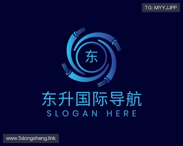领悟东升国际导航